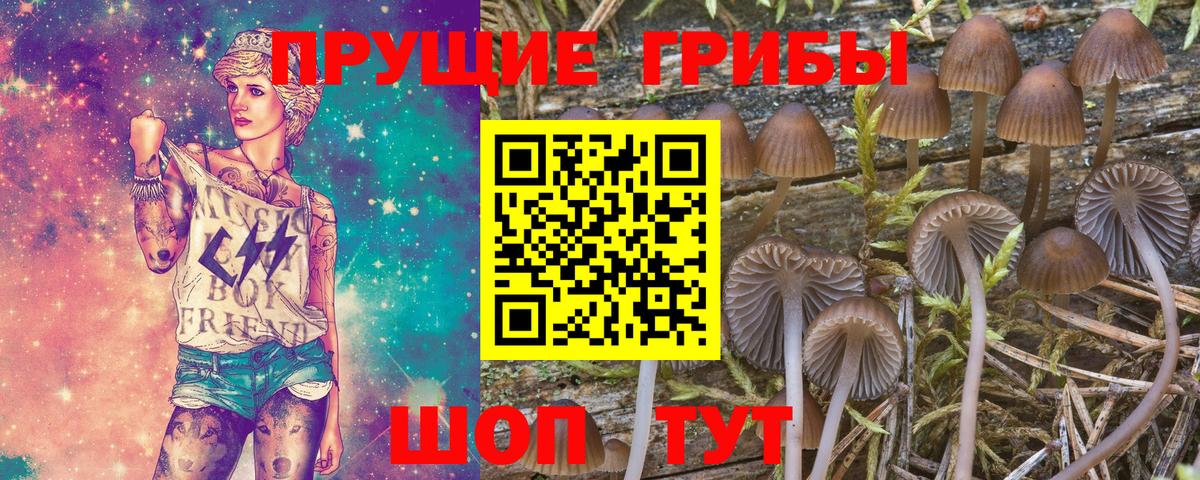 Арсеньев  Галлюциногенные грибы Cubensis  Галлюциногенные грибы Psilocybe  Вход с VPN 